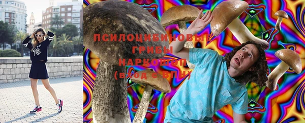 mdpv Верхний Тагил