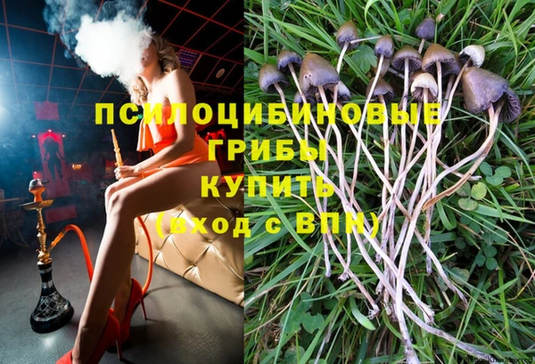 mdpv Верхний Тагил