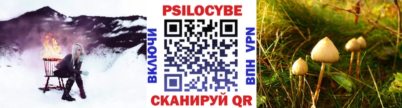 Купить  Валдай  Псилоцибиновые грибы Psilocybine cubensis 